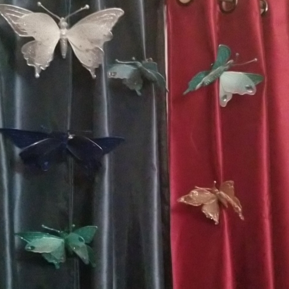 Meet your Posher, Lillian - Picture 13 of 16